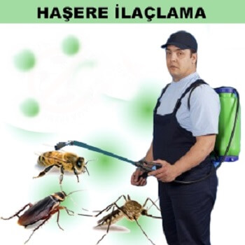 Havza Böcek İlaçlama